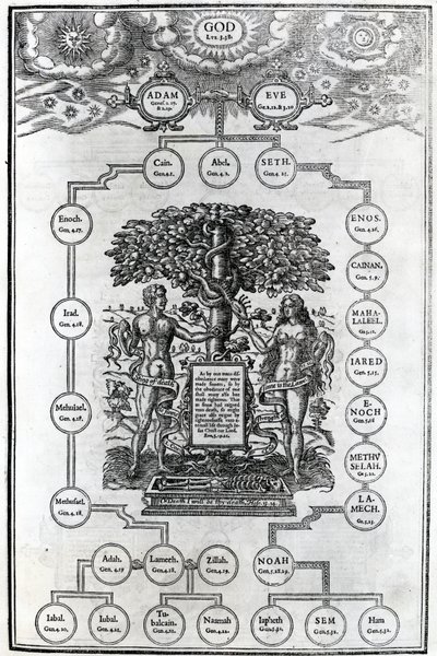 Stammbaum von Adam und Eva, 1556 von English School